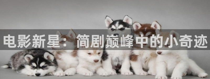 超碰人人97在线：电影新星：简剧巅峰中的小奇迹