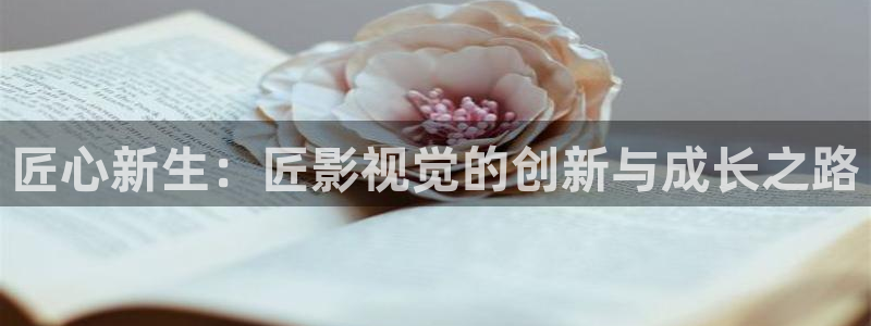 人人超碰麻豆：匠心新生：匠影视觉的创新与成长之路