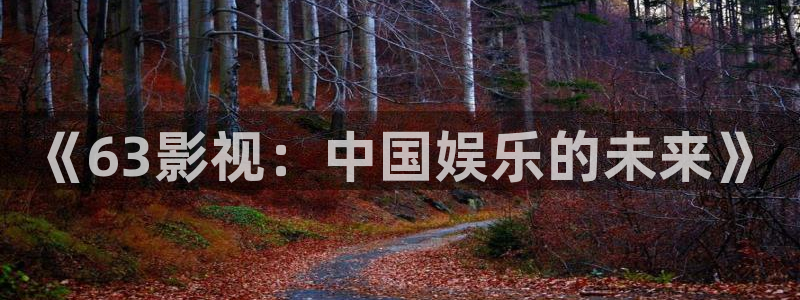 电影人人：《63影视：中国娱乐的未来》
