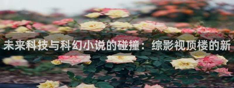 人人干99视频：未来科技与科幻小说的碰撞：综影视顶楼的新