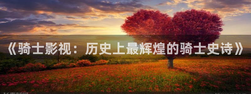 每日人人免费看视频：《骑士影视：历史上最辉煌的骑士史诗》