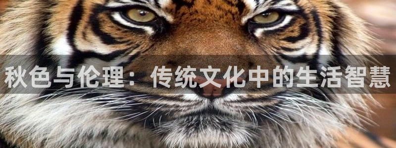 人人看片人人看特色大片：秋色与伦理：传统文化中的生活智慧