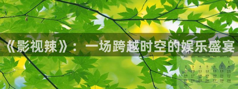 人人在线看视频：《影视辣》：一场跨越时空的娱乐盛宴